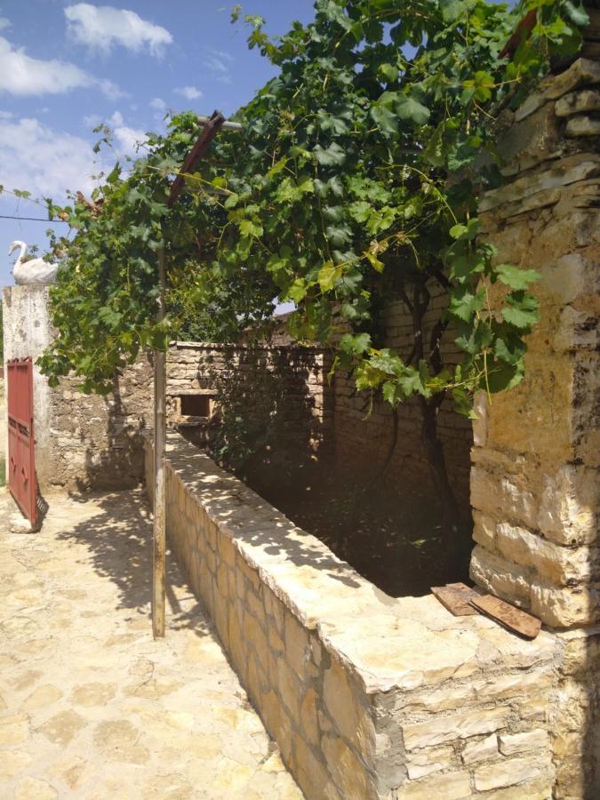 דירות Pridraga Viduka House מראה חיצוני תמונה